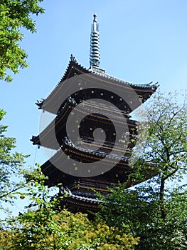 JAPON. Tokyo. Parc Ueno. photo